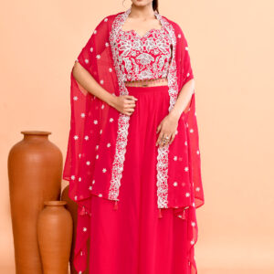 Indian Wedding Organza Crop Top Cape Suit