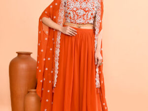 Rust Georgette Fusion / Indo- Western