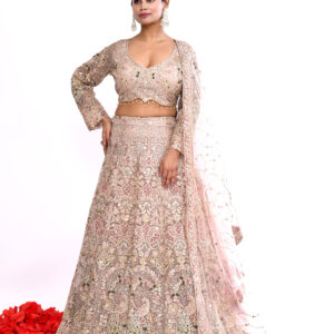 Blush Pink Heavy Embroidered Bridal Lehenga Set with Dupatta