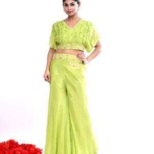 Lime Green Embroidered Co-ord Set (Crop Top And Palazzo)