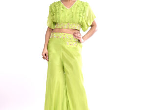 Lime Green Embroidered Co-ord Set (Crop Top And Palazzo)
