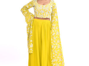 Lime Indo-western Long Sleeves Crop Top Draped Skirt Set