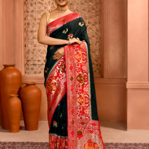 Bottle Bottle Patola Silk Premium Saree with Elephant Work