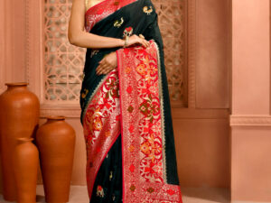 Bottle Bottle Patola Premium Saree with Elephant Work
