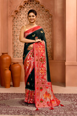 Bottle Bottle Patola Premium Saree with Elephant Work
